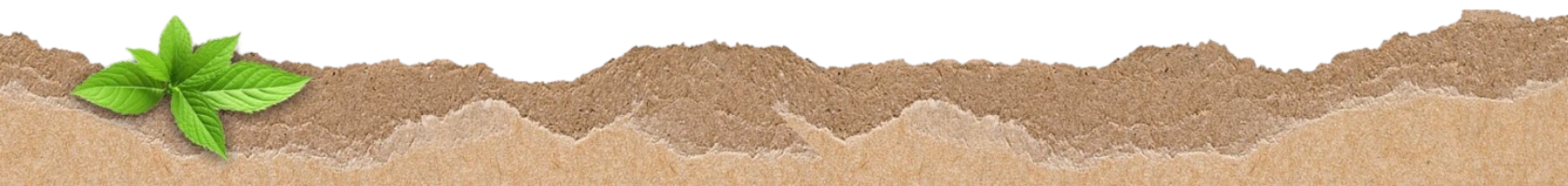 Decorative Footer